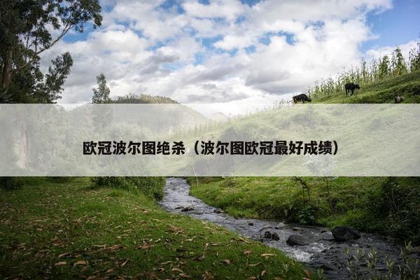 欧冠波尔图绝杀（波尔图欧冠最好成绩）