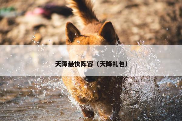 天降最快阵容（天降礼包）