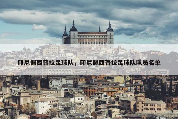 印尼佩西普拉足球队，印尼佩西普拉足球队队员名单