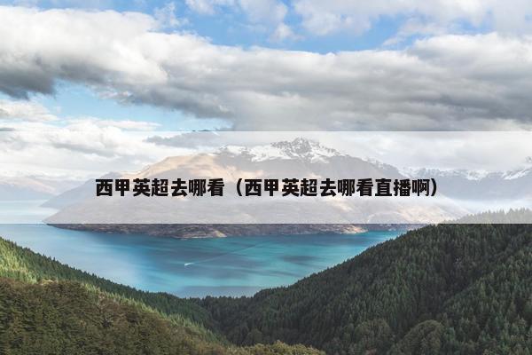 西甲英超去哪看（西甲英超去哪看直播啊）