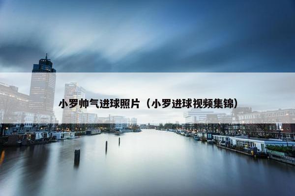 小罗帅气进球照片（小罗进球视频集锦）