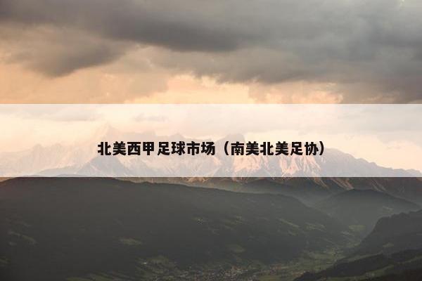 北美西甲足球市场（南美北美足协）