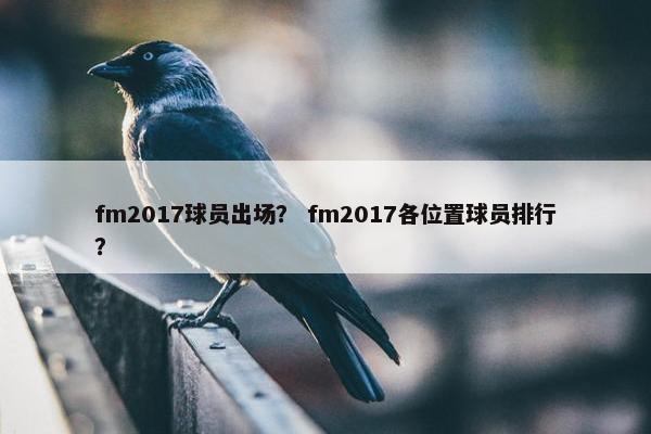 fm2017球员出场？ fm2017各位置球员排行？