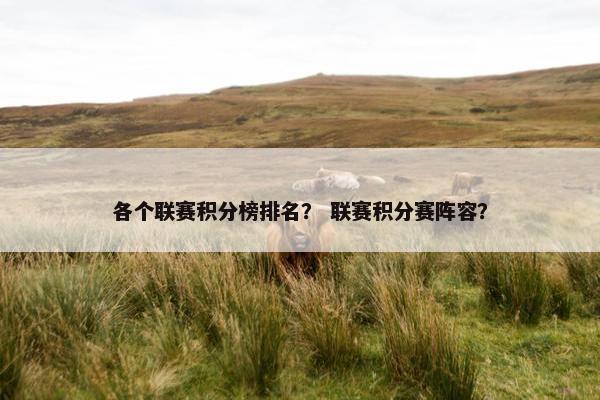 各个联赛积分榜排名？ 联赛积分赛阵容？