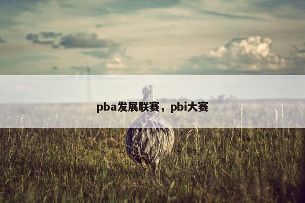 pba发展联赛，pbi大赛