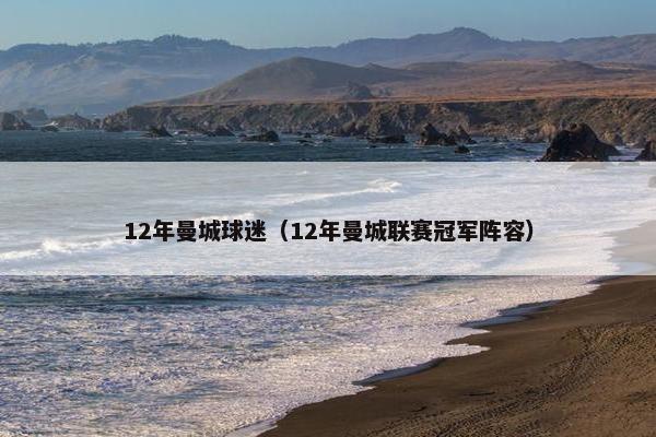 12年曼城球迷（12年曼城联赛冠军阵容）