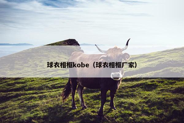 球衣相框kobe（球衣相框厂家）