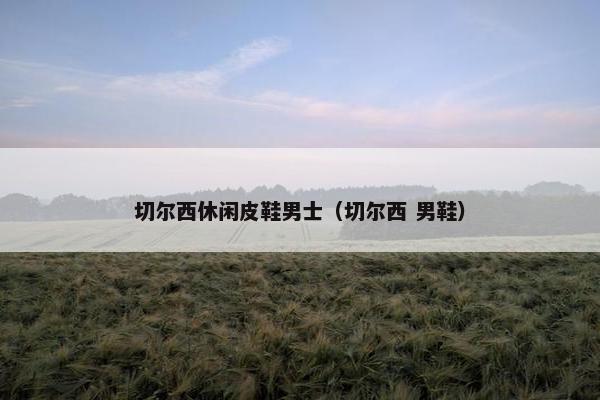 切尔西休闲皮鞋男士（切尔西 男鞋）