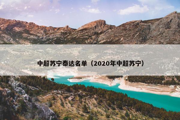 中超苏宁泰达名单（2020年中超苏宁）