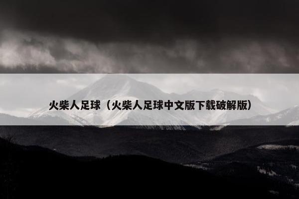 火柴人足球（火柴人足球中文版下载破解版）