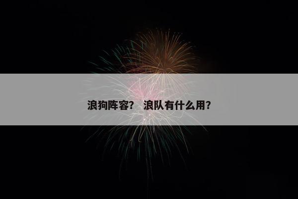 浪狗阵容？ 浪队有什么用？