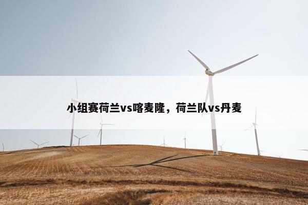 小组赛荷兰vs喀麦隆，荷兰队vs丹麦