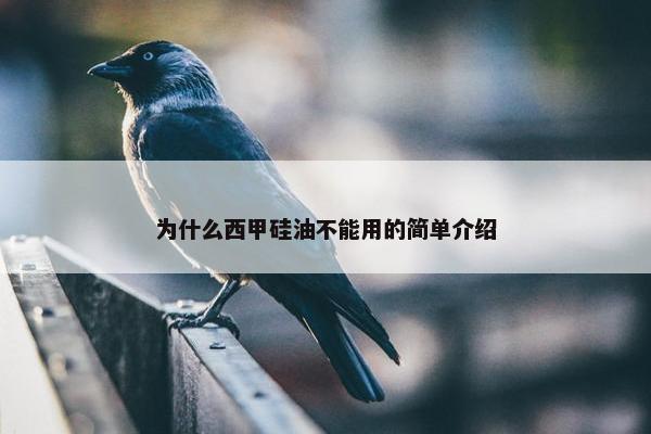 为什么西甲硅油不能用的简单介绍