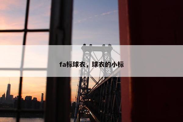 fa标球衣，球衣的小标