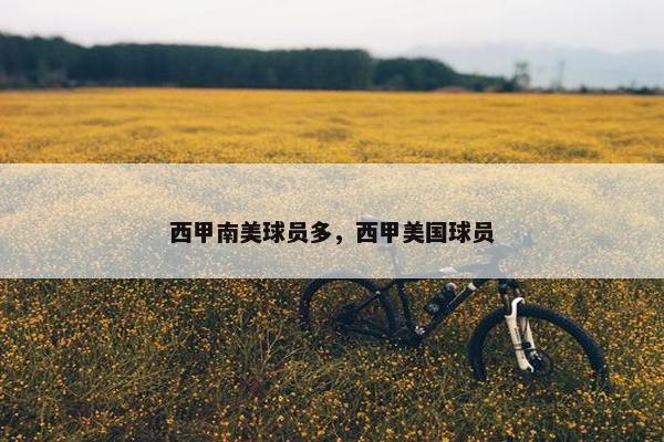西甲南美球员多，西甲美国球员