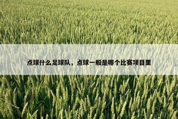 点球什么足球队，点球一般是哪个比赛项目里