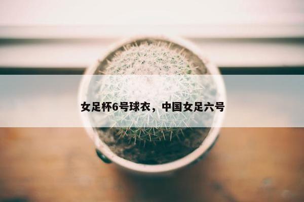 女足杯6号球衣，中国女足六号