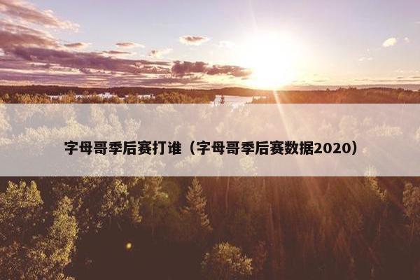 字母哥季后赛打谁（字母哥季后赛数据2020）