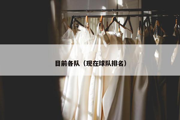 目前各队（现在球队排名）