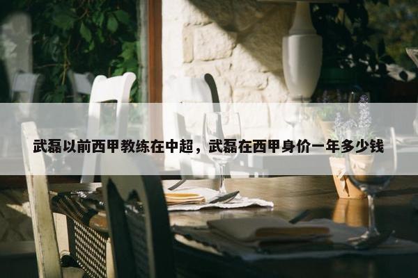 武磊以前西甲教练在中超，武磊在西甲身价一年多少钱