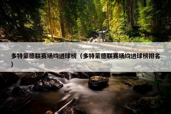 多特蒙德联赛场均进球榜（多特蒙德联赛场均进球榜排名）