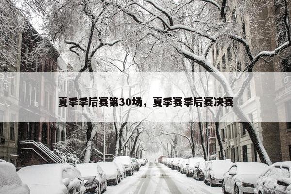 夏季季后赛第30场，夏季赛季后赛决赛