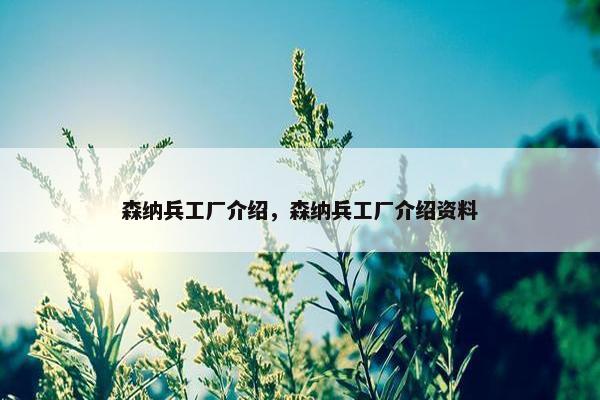 森纳兵工厂介绍，森纳兵工厂介绍资料