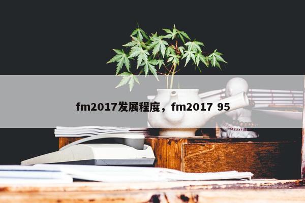 fm2017发展程度，fm2017 95