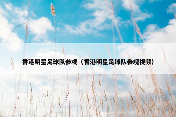 香港明星足球队参观（香港明星足球队参观视频）