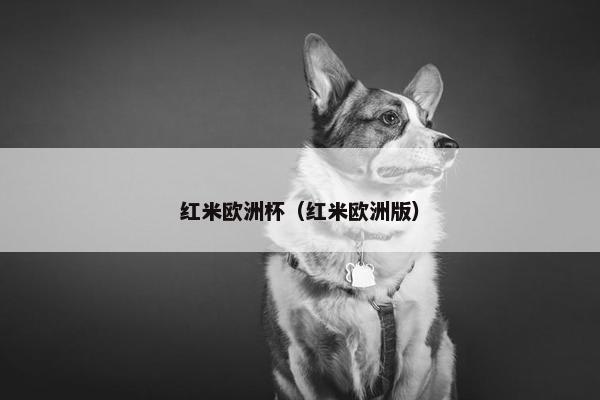 红米欧洲杯（红米欧洲版）
