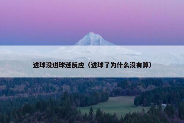 进球没进球迷反应（进球了为什么没有算）