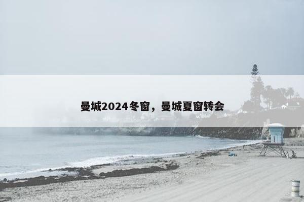 曼城2024冬窗，曼城夏窗转会