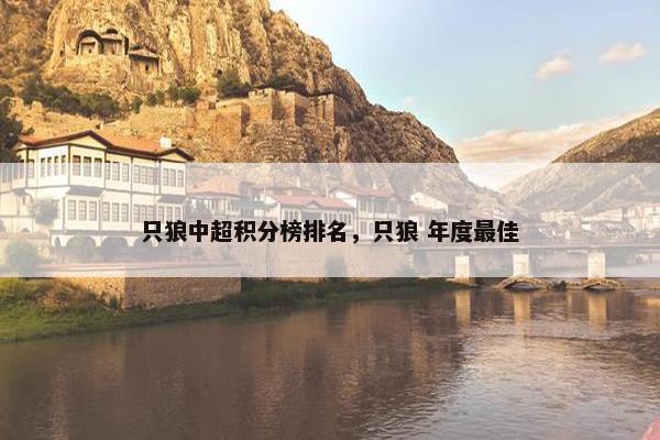 只狼中超积分榜排名，只狼 年度最佳