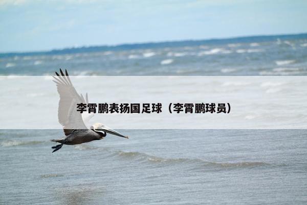 李霄鹏表扬国足球（李霄鹏球员）
