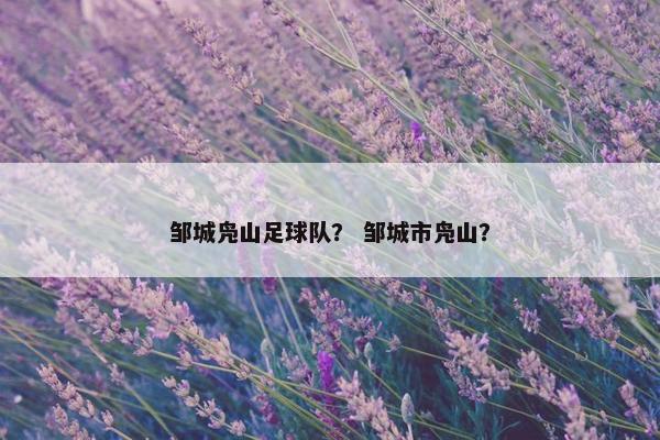 邹城凫山足球队？ 邹城市凫山？