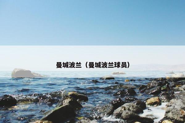 曼城波兰（曼城波兰球员）