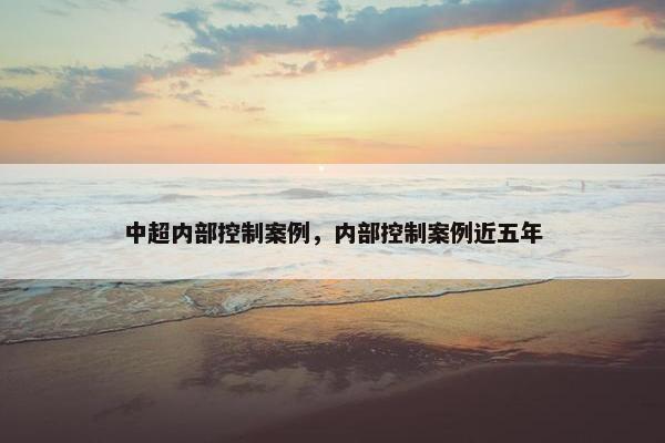 中超内部控制案例，内部控制案例近五年