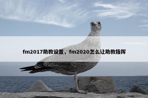 fm2017助教设置，fm2020怎么让助教指挥