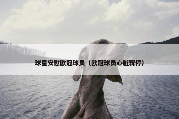 球星安慰欧冠球员（欧冠球员心脏骤停）