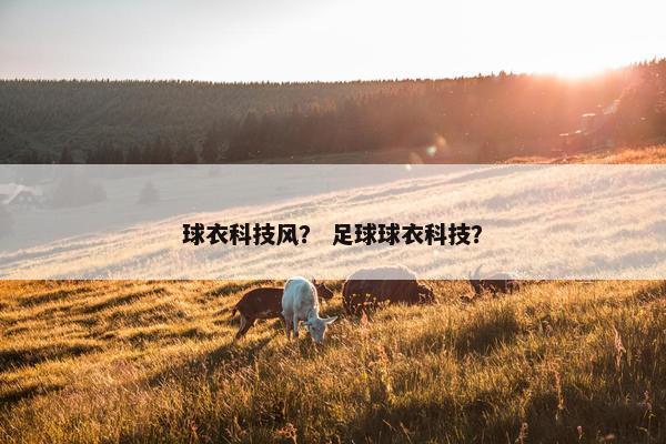 球衣科技风？ 足球球衣科技？