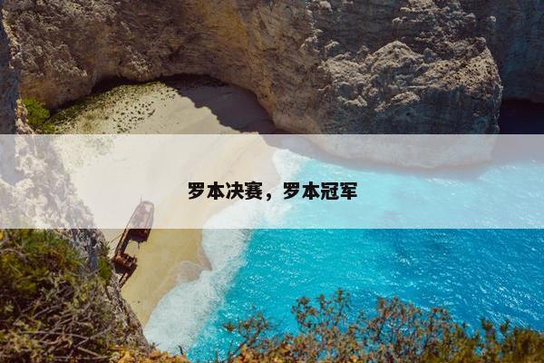 罗本决赛，罗本冠军