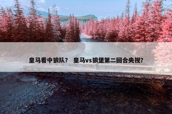 皇马看中狼队？ 皇马vs狼堡第二回合央视？