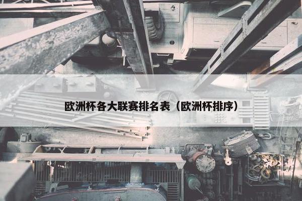 欧洲杯各大联赛排名表（欧洲杯排序）