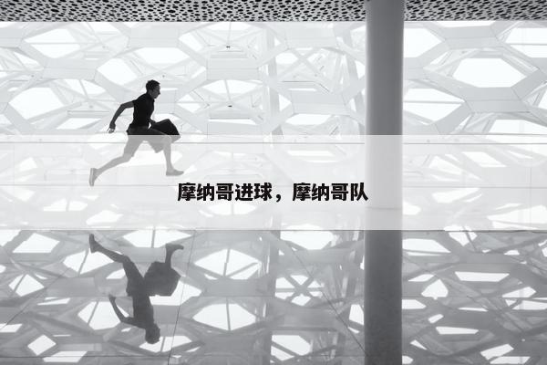 摩纳哥进球，摩纳哥队
