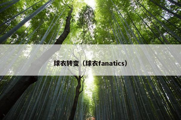 球衣转变（球衣fanatics）