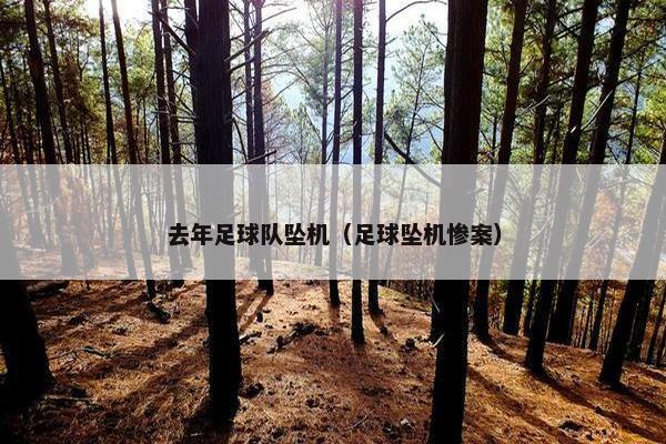 去年足球队坠机（足球坠机惨案）