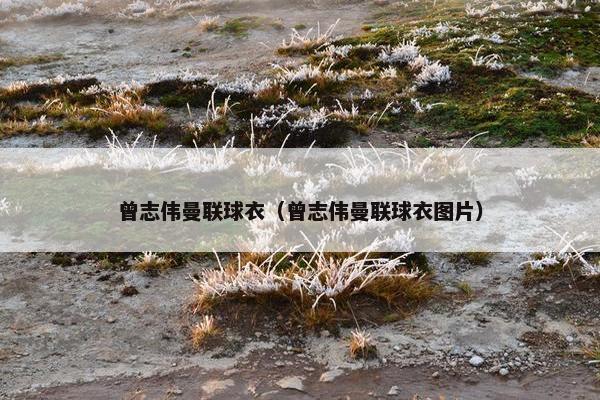 曾志伟曼联球衣（曾志伟曼联球衣图片）