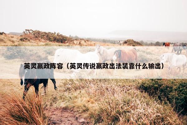 英灵嬴政阵容（英灵传说嬴政出法装靠什么输出）