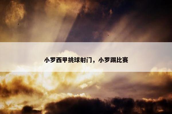 小罗西甲挑球射门，小罗踢比赛
