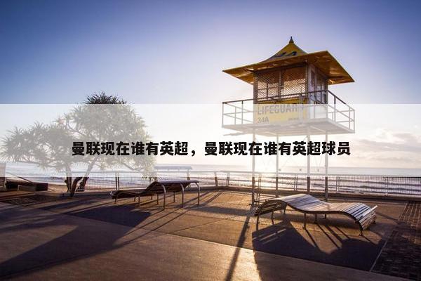 曼联现在谁有英超，曼联现在谁有英超球员